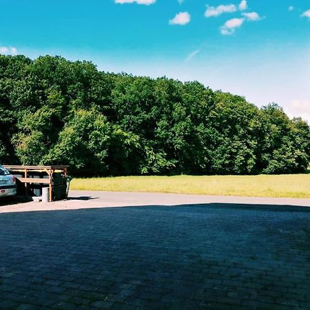 Gladenbach76 Qm Whg Im Eg Haus-Wohlfuehloase Vor Der Haustuerアパートメント エクステリア 写真