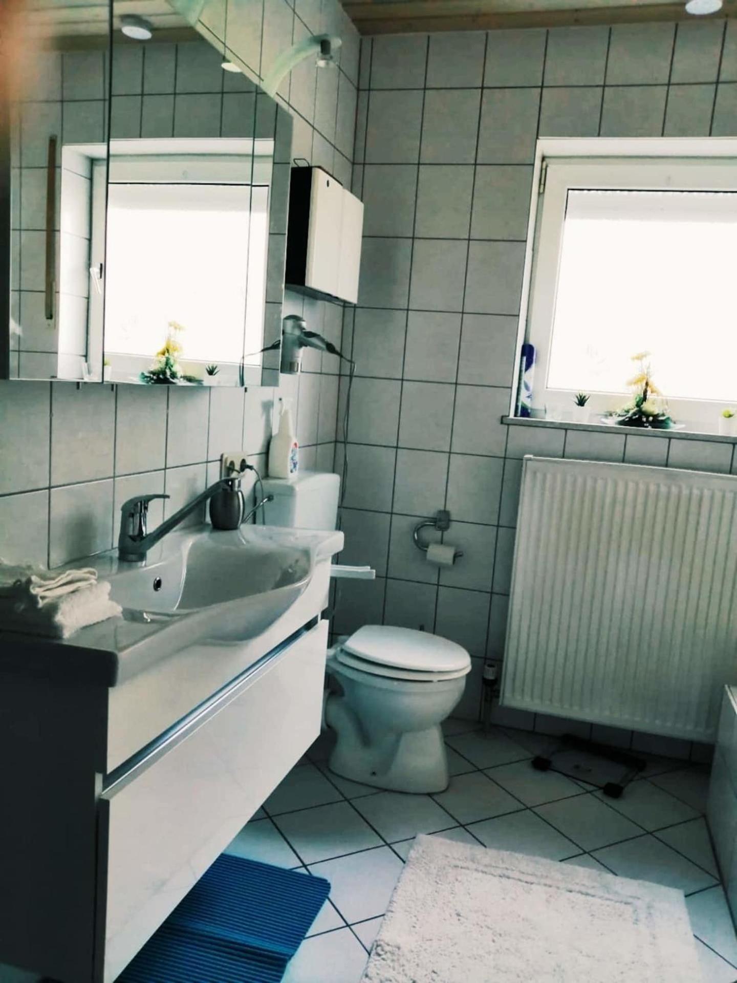 Gladenbach76 Qm Whg Im Eg Haus-Wohlfuehloase Vor Der Haustuerアパートメント エクステリア 写真